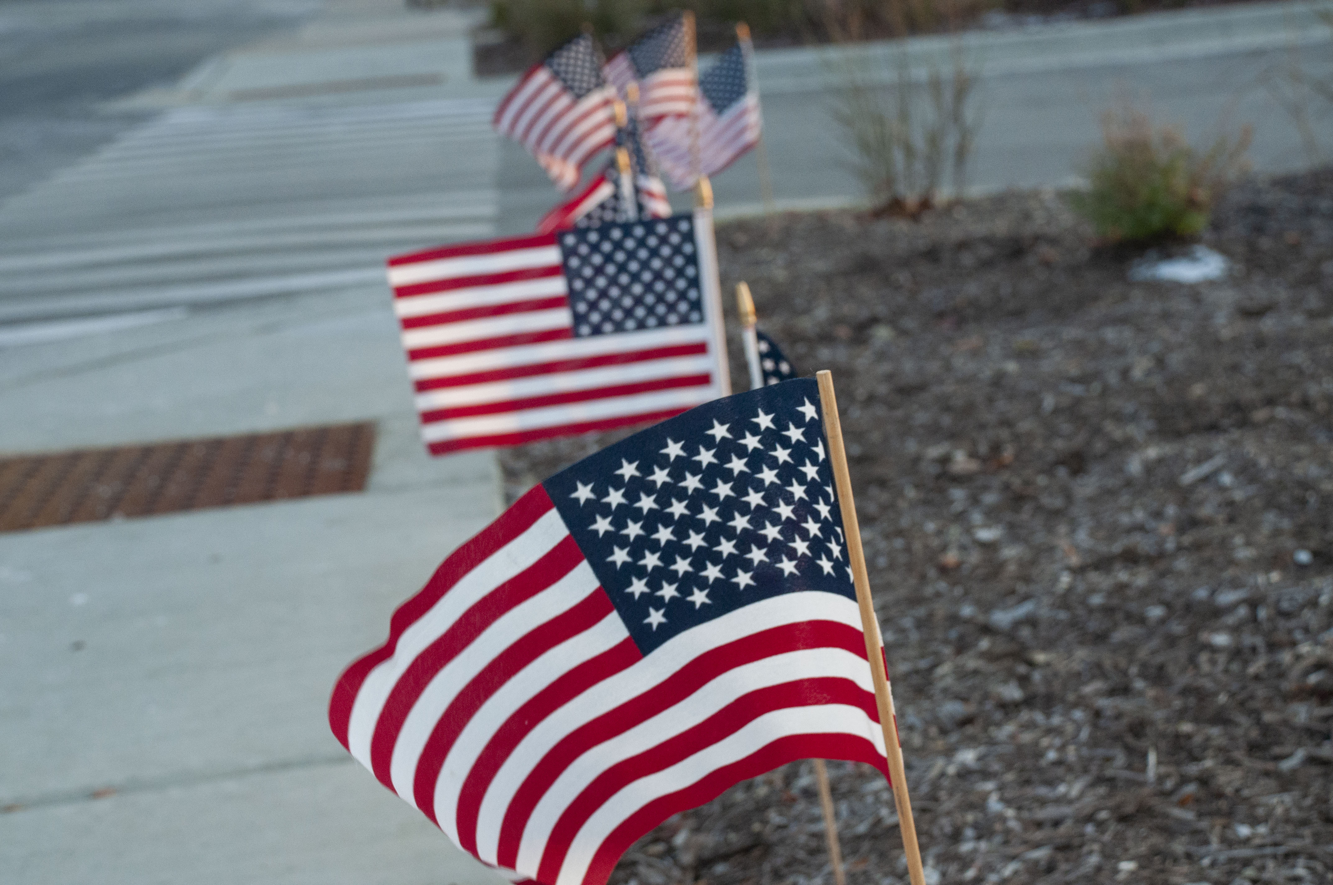 A row of American flags in the grass