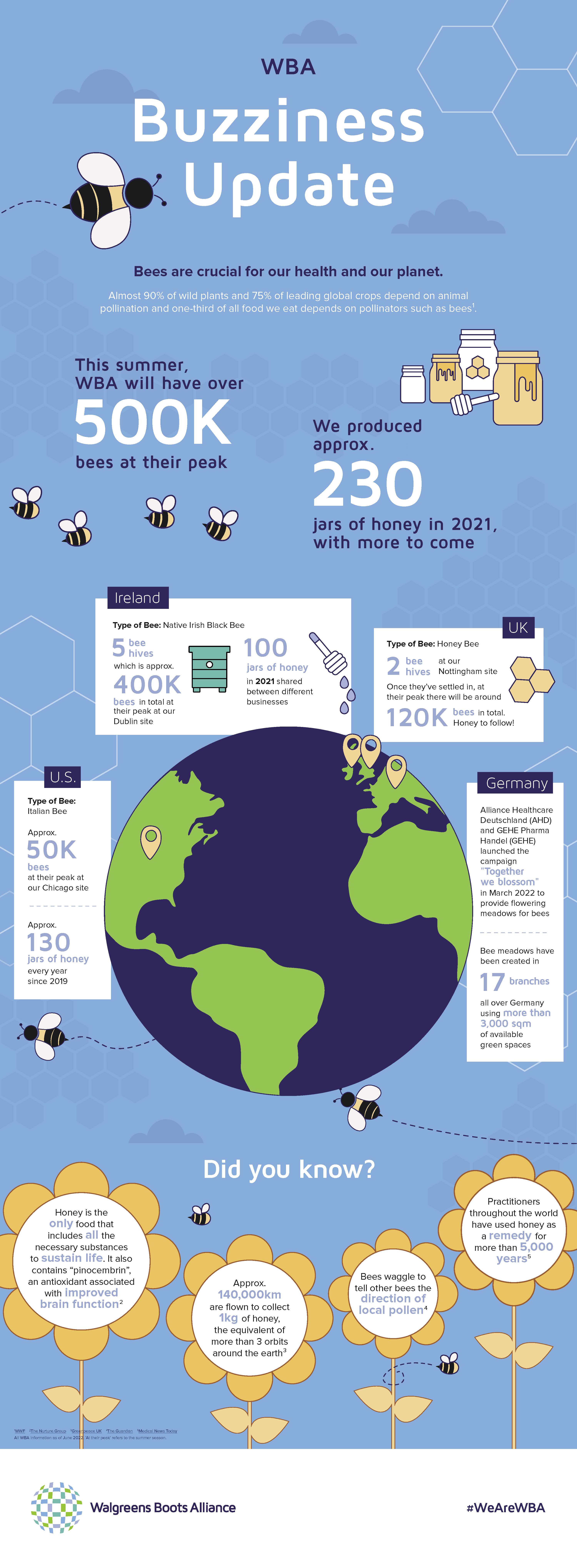 Bees infographic