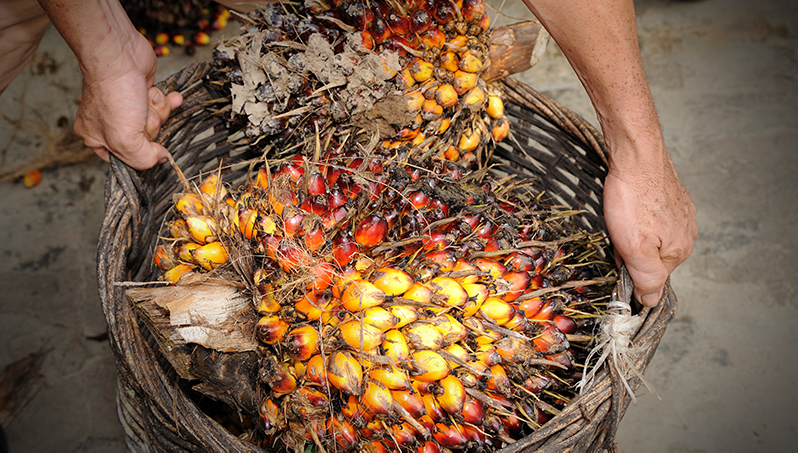 a basket of palm oil nuts