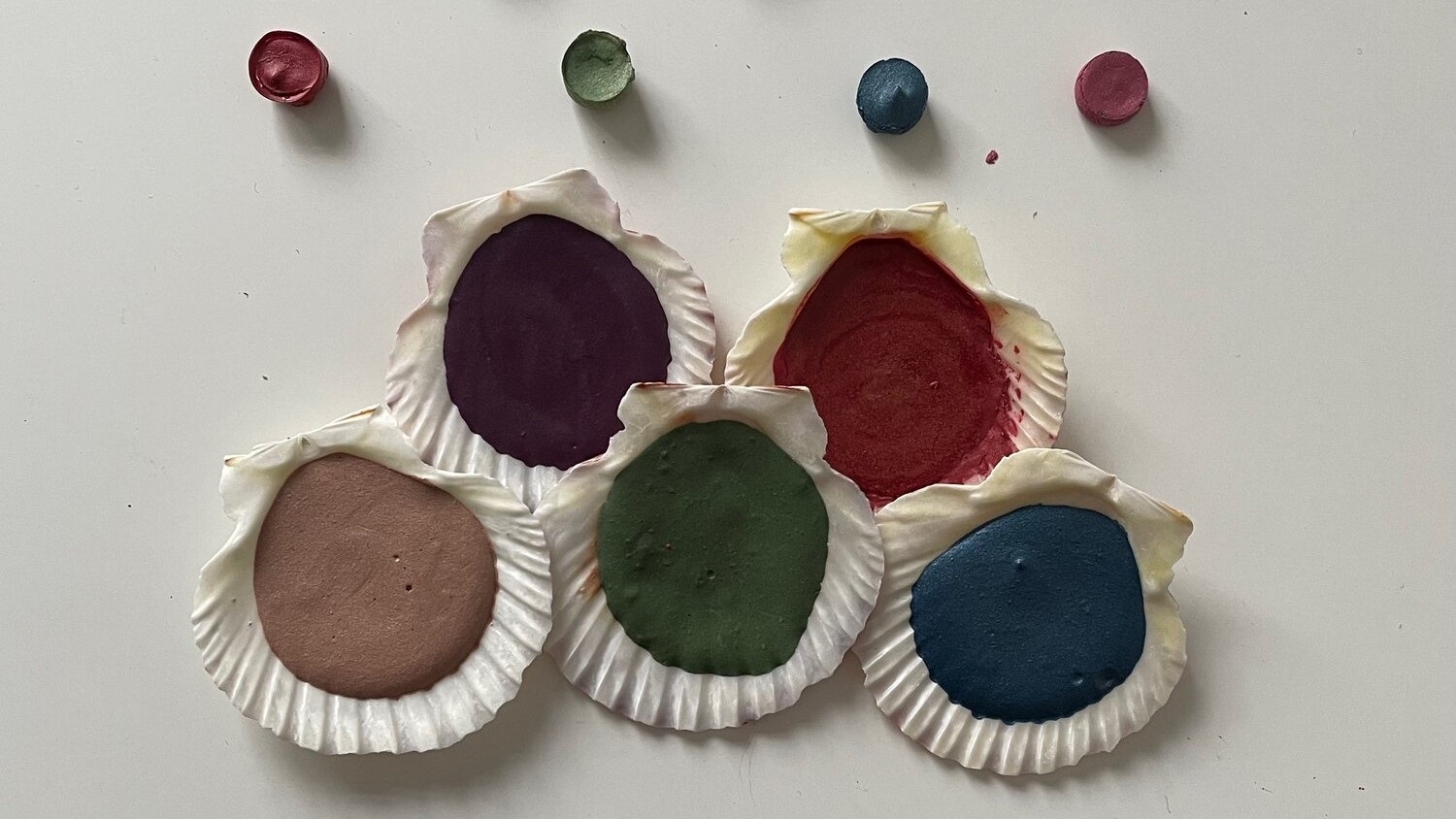 Planet Friendly Paint samples in seashells