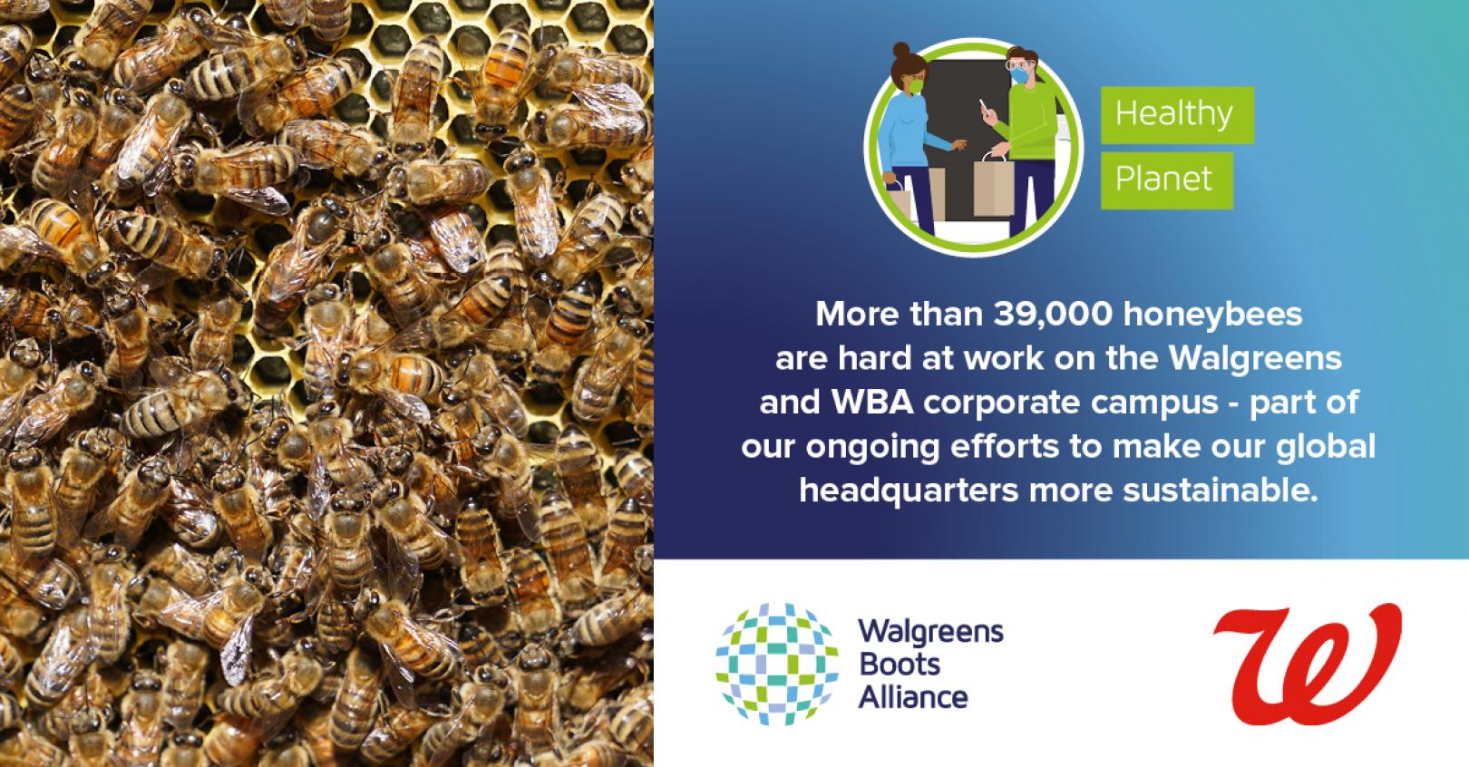 Walgreens on-campus beehive environmental impacts Twitter LinkedIn