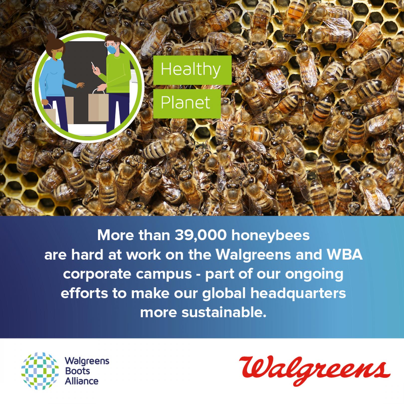 Walgreens on-campus beehive environmental impacts Instagram 
