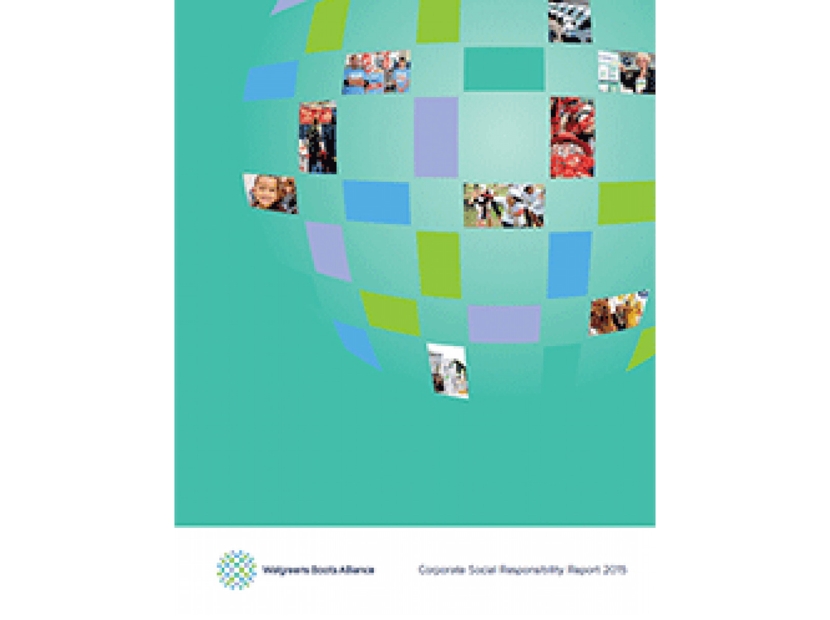 2015 CSR Report Cover