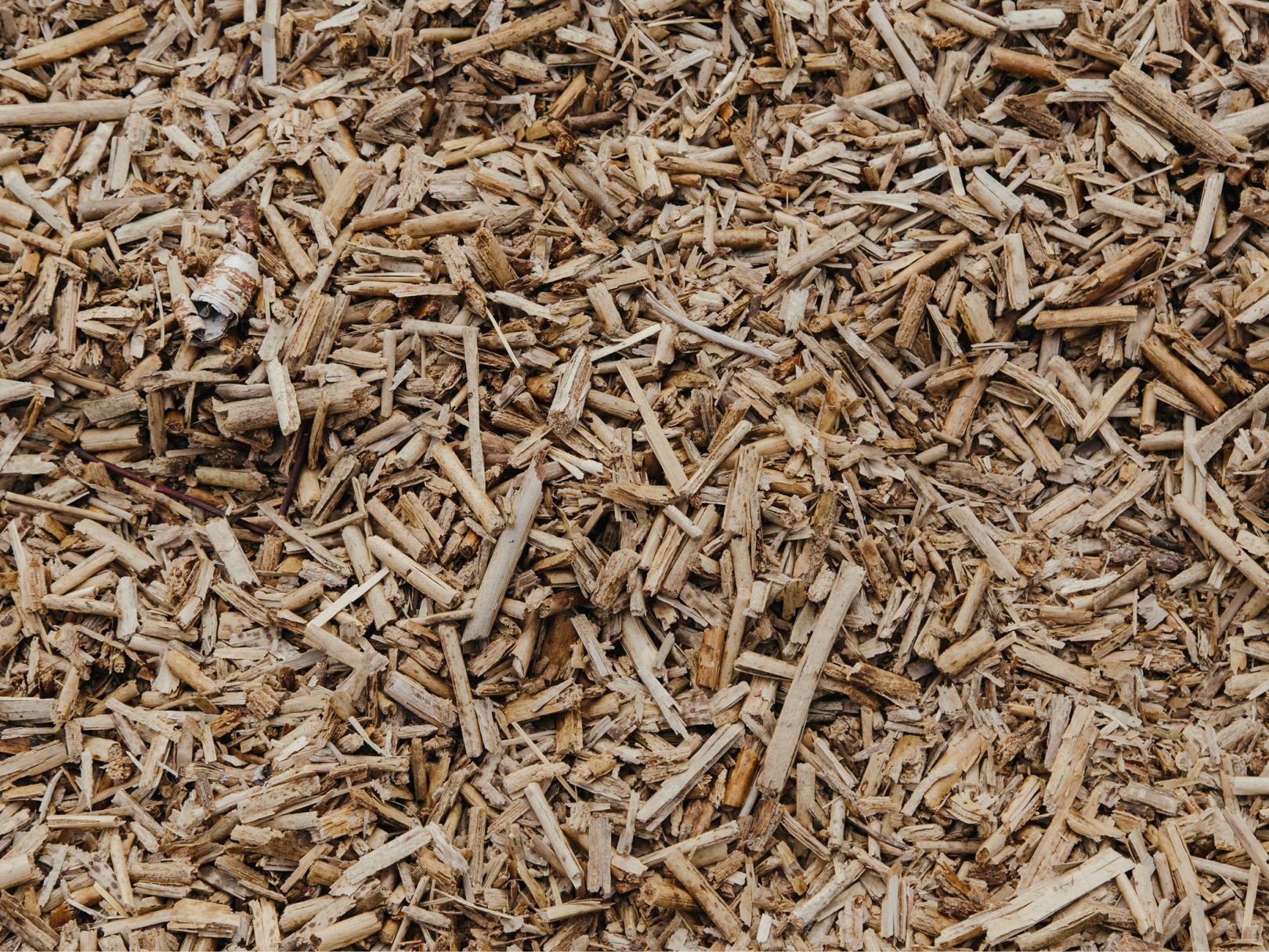 Image of wood, pulp, paper