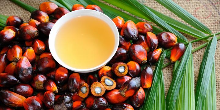 Palm nuts and oil