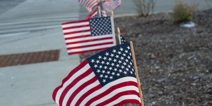 A row of American flags in the grass